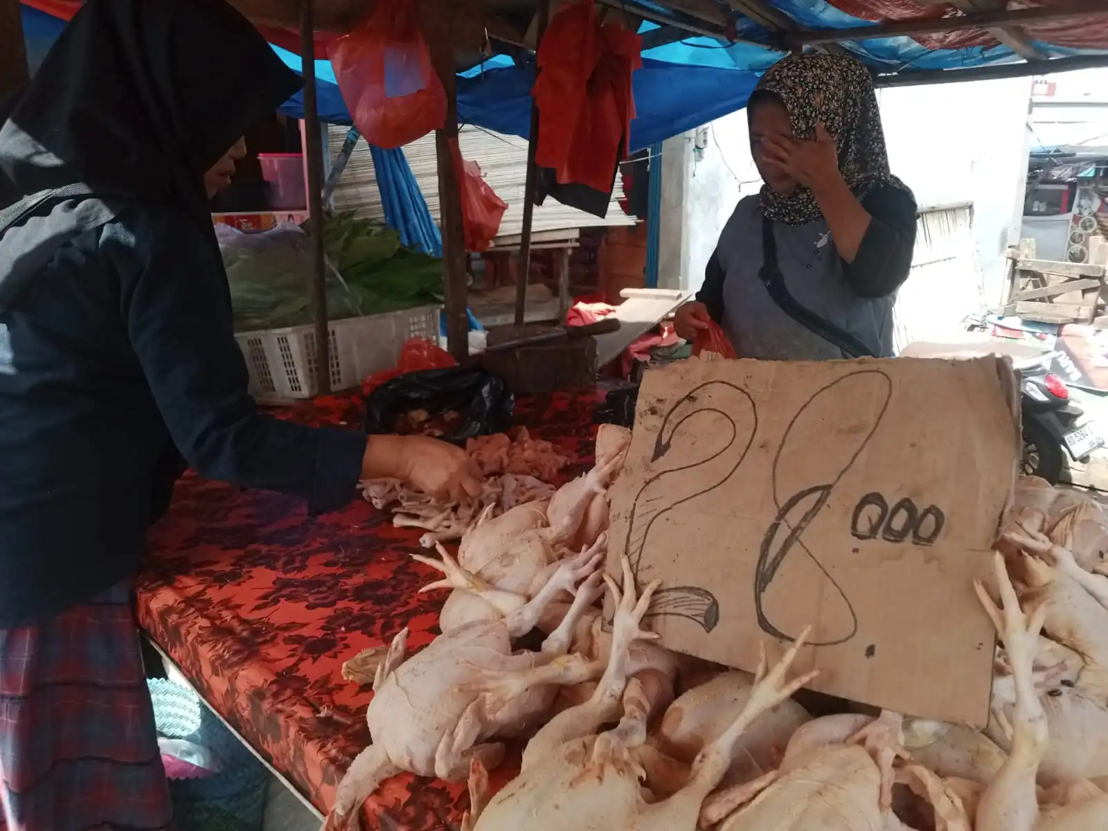Stok Ayam Melimpah, Harganya Ikut Menurun