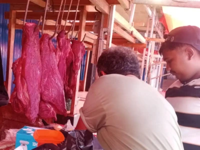 DKPP Pastikan Tidak Ada Daging Gelonggongan di Kota Bengkulu
