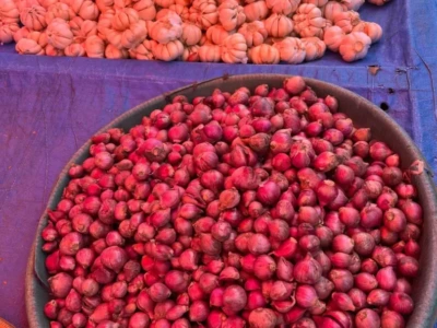Harga Bawang Merah di Bengkulu Turun, Diprediksi Naik Lagi Jelang Lebaran