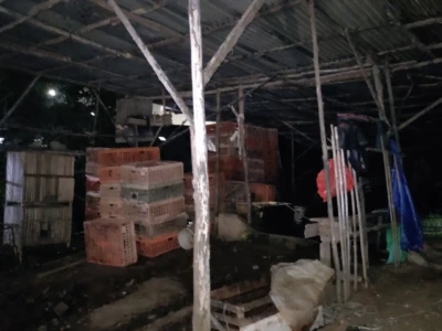 Berbau Menyengat dan Tidak Sedap, Gudang Potong Ayam di Dusun Besar Diprotes Warga