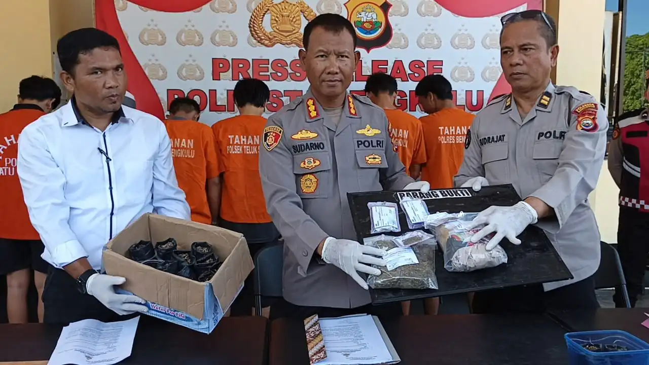 Empat Residivis Tertangkap Edarkan Ganja di Bengkulu, Satu di Antaranya Tanam Bibit Sendiri