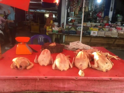 Harga Ayam Turun Drastis Pasca Lebaran, Warga Sambut Gembira