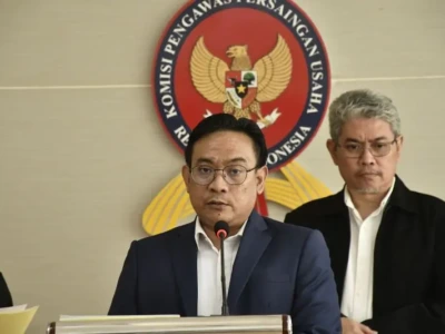 Wakil Ketua KPPU, Aru Armando