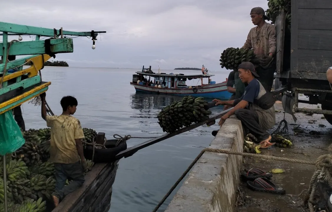 Transportasi Mandek, Ekonomi Mati: Pulau Enggano Kian Terpuruk