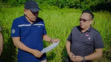 Wagub Mian saat meninjau lokasi rencana pembangunan kantor penghubung di Desa Apoho