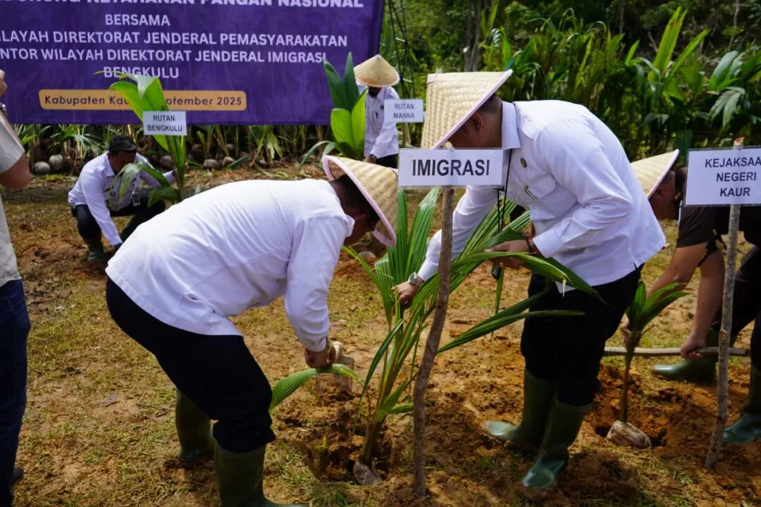 Kepala Kantor Imigrasi Bengkulu Ikut Sukseskan Penanaman Pohon Kelapa Serentak di Kabupaten Kaur