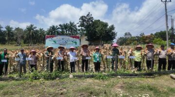 Polres Mukomuko Gelar Panen Raya Jagung Serentak Kuartal III