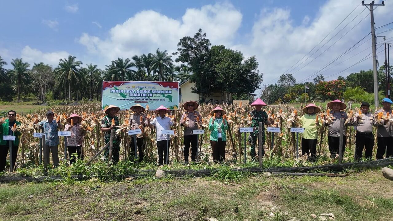 Polres Mukomuko Gelar Panen Raya Jagung Serentak Kuartal III