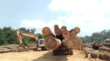 Genesis Bengkulu