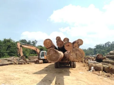 Genesis Bengkulu