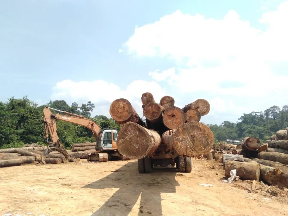 Genesis Bengkulu
