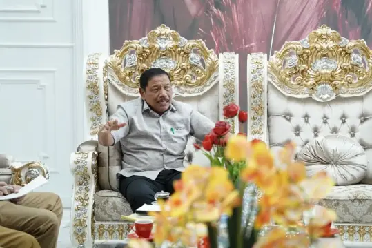 Wakil Gubernur Bengkulu, Mian