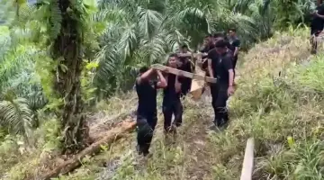Brimob Polda Kaltara Membangun Jembatan Roboh di Tapal Batas, Sebatik Tengah