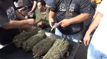 Dikejar Resmob, Pelaku Curanmor Todongkan Senpi dan Simpan 4 Kg Ganja