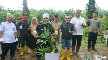 Penanaman Pohon di Kabupaten Bengkulu Tengah. MC