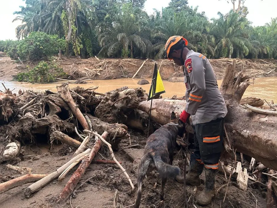 K9 Ditpolsatwa Baharkam Polri Ungkap Lokasi Korban Bencana di Sungai Huta Raja