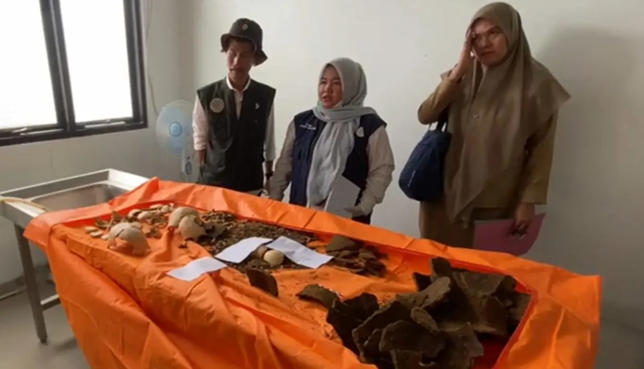 Sejumlah Peninggalan Megalitikum yang Pernah Ditemukan Selain Tengkorak di Kepahiang