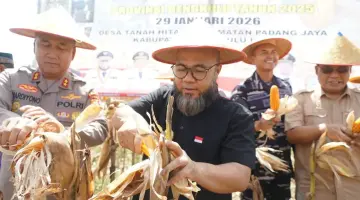 Desa Tanah Hitam Bengkulu Utara Juara Jagung Hibrida