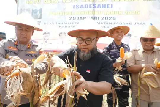 Desa Tanah Hitam Bengkulu Utara Juara Jagung Hibrida
