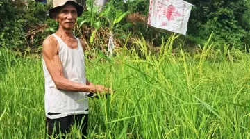Anggota Komunitas Adat Sungai Lisai