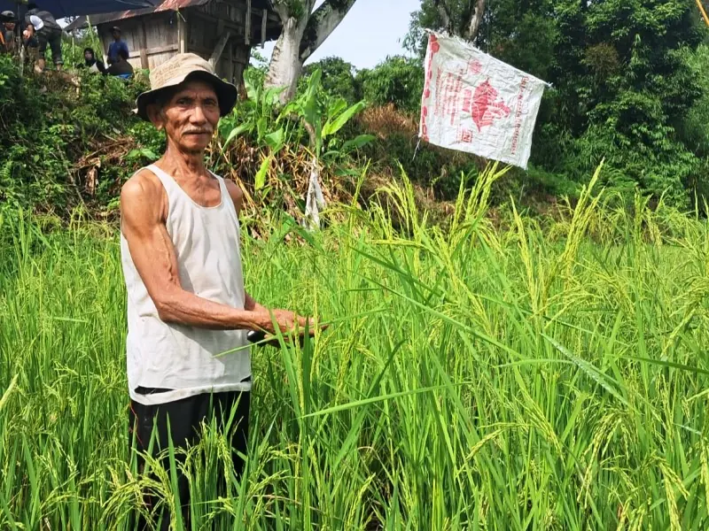 Anggota Komunitas Adat Sungai Lisai