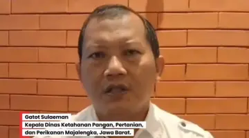 Gatot Sulaeman, Kepala Dinas Ketahanan Pangan, Pertanian, dan Perikanan Majalengka, Provinsi, Jawa Barat.