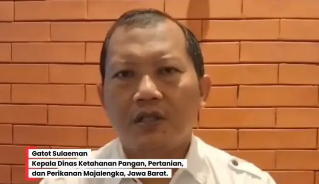 Gatot Sulaeman, Kepala Dinas Ketahanan Pangan, Pertanian, dan Perikanan Majalengka, Provinsi, Jawa Barat.
