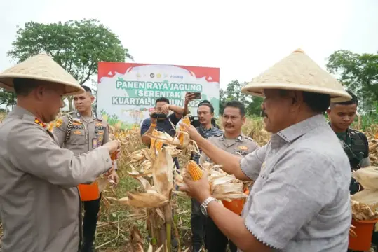 Polri dan Pemprov Bengkulu Panen Jagung Serentak
