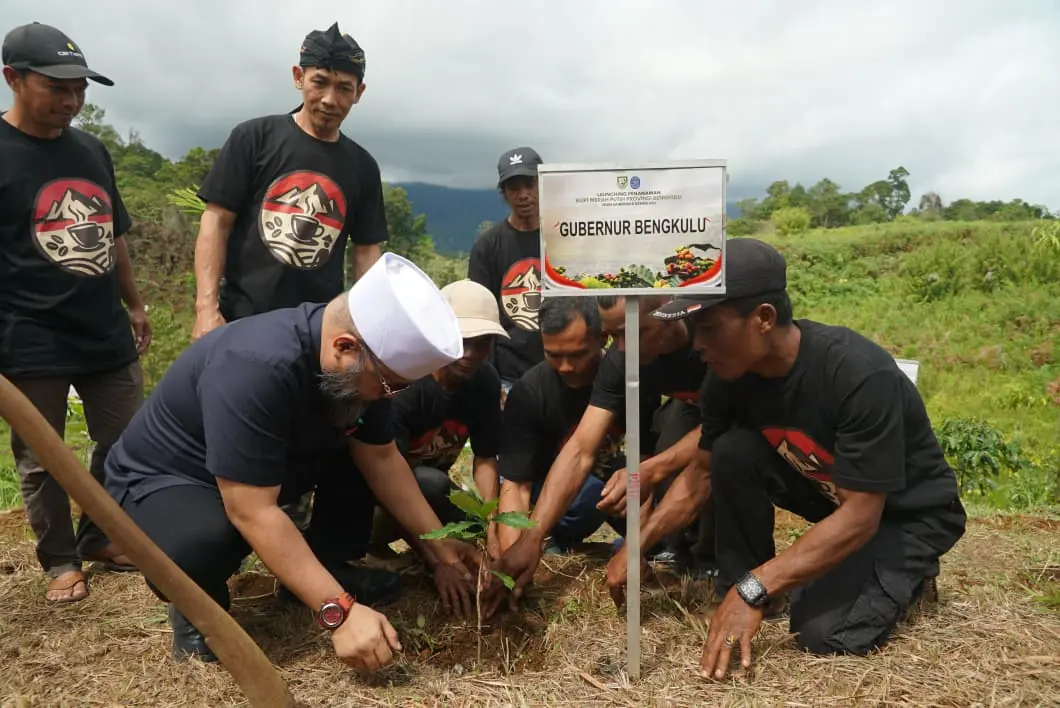 Program Kopi Merah Putih di Bengkulu Resmi Dimulai