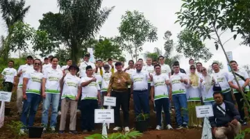 PLN Indonesia Power UBP Bengkulu Hijaukan Rejang Lebong, 3.000 Pohon Ditanam di Catchment Area PLTA Musi
