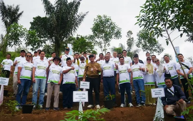 PLN Indonesia Power UBP Bengkulu Hijaukan Rejang Lebong, 3.000 Pohon Ditanam di Catchment Area PLTA Musi