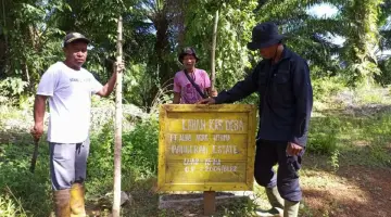 DLHK Bengkulu Verifikasi Dugaan Kebun Kas Desa PT Alno Agro Utama di Kawasan Hutan Produksi