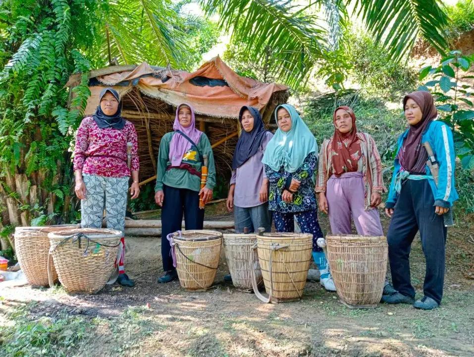 Perempuan Petani Pino Raya