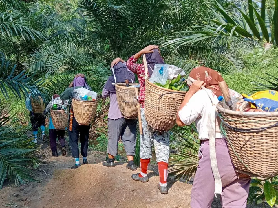Perempuan Petani Pino Raya