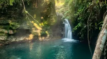 Suasana asri kawasan wisata Napal Jungur dengan aliran sungai dan lingkungan alam yang masih terjaga.