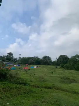 Gajah Sumatera di Seblat