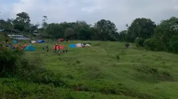 Gajah Sumatera di Seblat