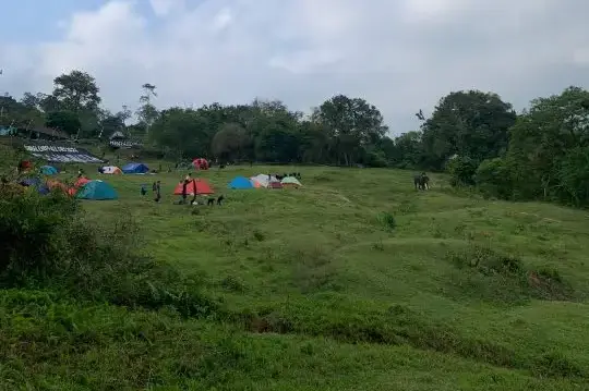 Tiga Hari Bertamu ke Rumah Gajah Sumatera di Seblat