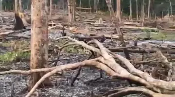 BPBD Bengkulu Tengah Padamkan Kebakaran Lahan 1,5 Hektare di Desa Jum’at