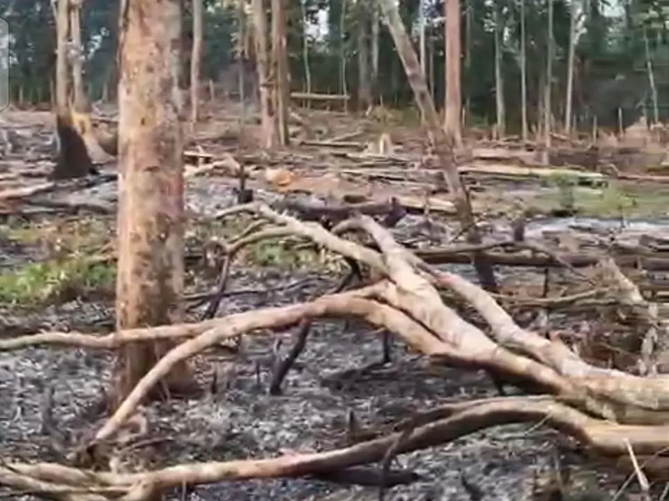 BPBD Bengkulu Tengah Padamkan Kebakaran Lahan 1,5 Hektare di Desa Jum’at