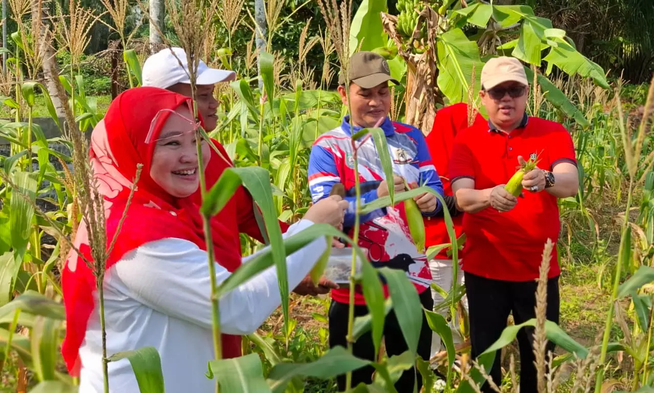 Kebun Bantu Rakyat Jadi Contoh Pemanfaatan Pekarangan OPD di Provinsi Bengkulu